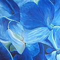 Flora Series-Number 6