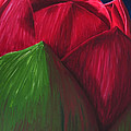 Flora Series-Number 7
