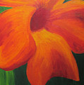 Flora Series-Number 1